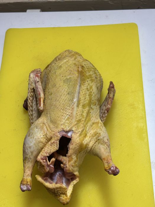 Продам домашних  гусей