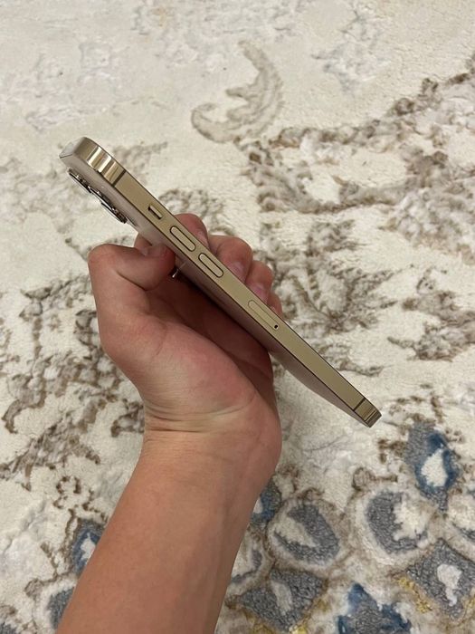 iphone 12 Pro Max ideal