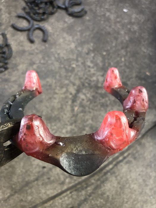 Potcoave cu vidia calitate buna-150lei