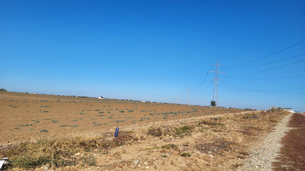 Teren de Vanzare Comuna Berceni