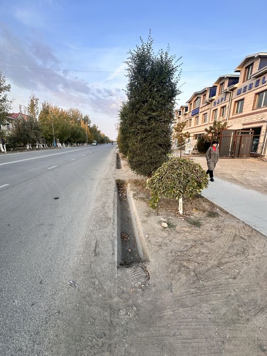 Нукус каласы берунийоткеи 7 жай сатылады багдар квадрат 350,000000 сум