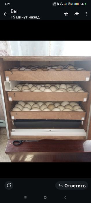 Инкубаторы! 2 шт. Б/У