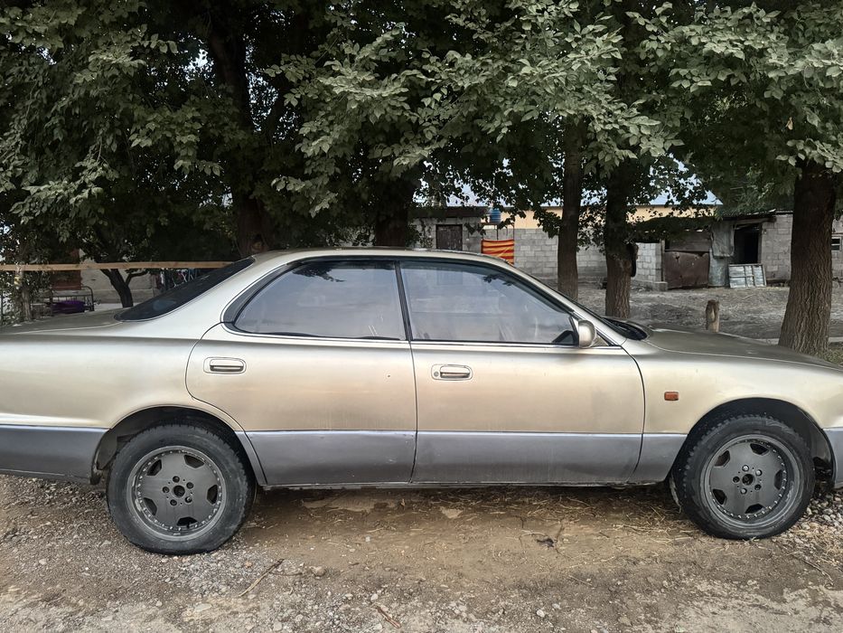 Виндом 1992 года