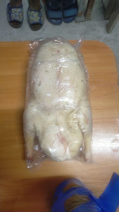 Гуси в заморозке