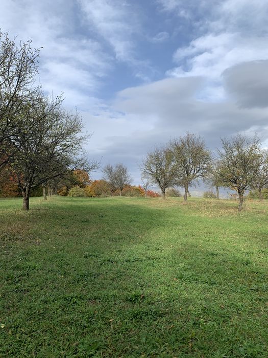 Teren 60 ari - in Cetatele, comuna Șișești, jud. Maramures