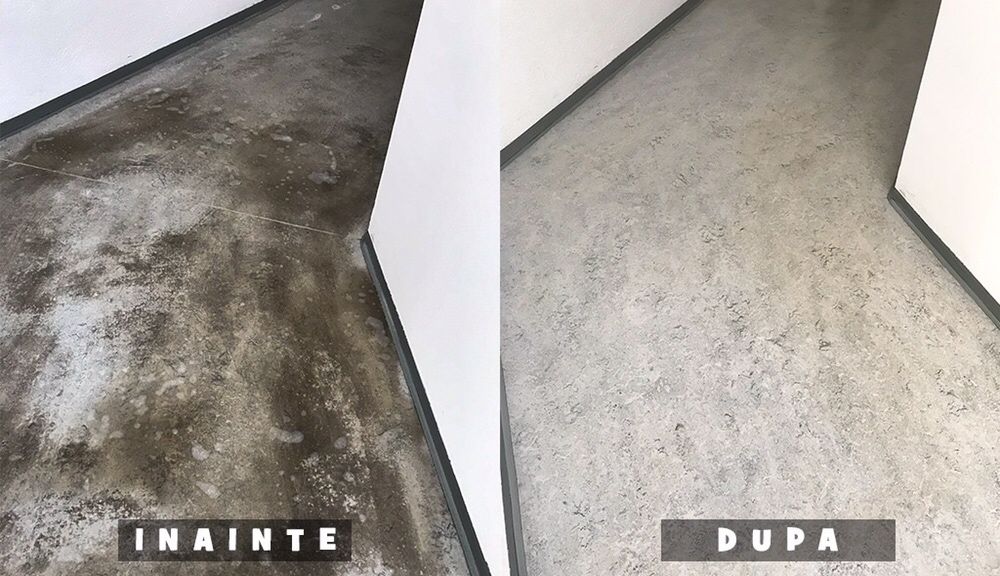 Firma de Curățenie Generală Profesională Slatina