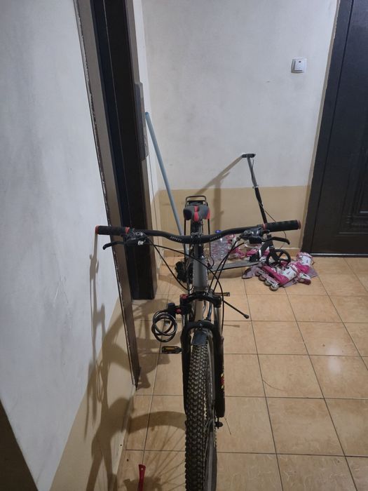 Velosiped 29 narxi kelishilgani