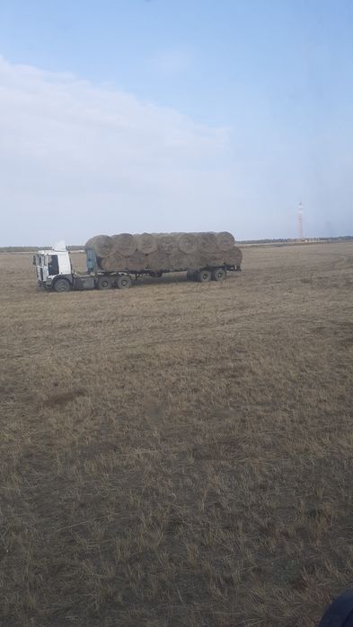 Сено в руллонах!