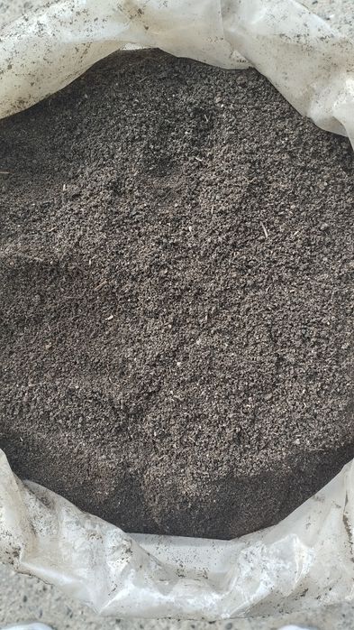 Biogomus va yomğir chuvalchangi