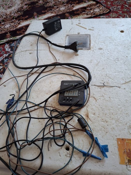 Инкубатор, золушка, несушка