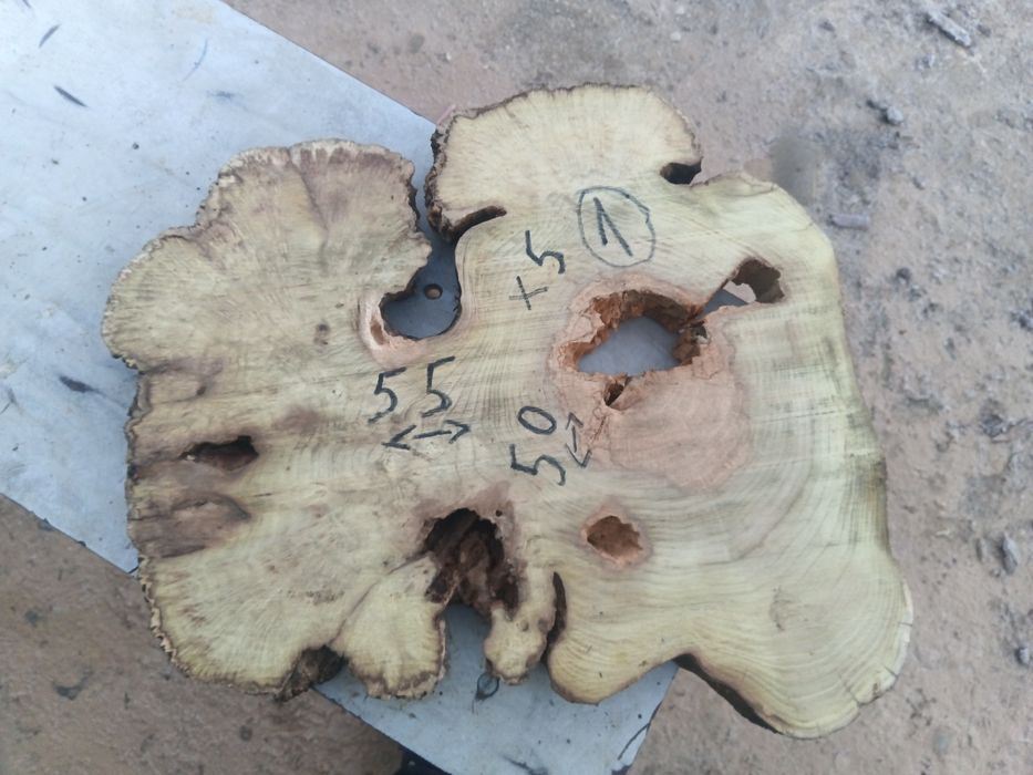 Rondele salcâm bubos