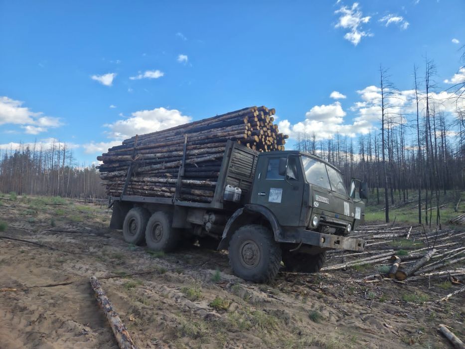 Продам жерди, сырғауыл
