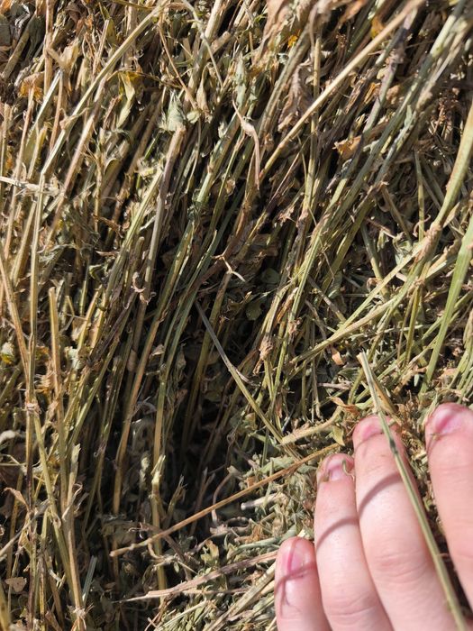 Vand baloti  lucerna ,coasa a doua ,280 ron