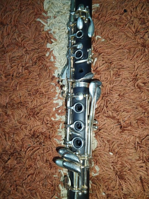 Vand clarinet parrot