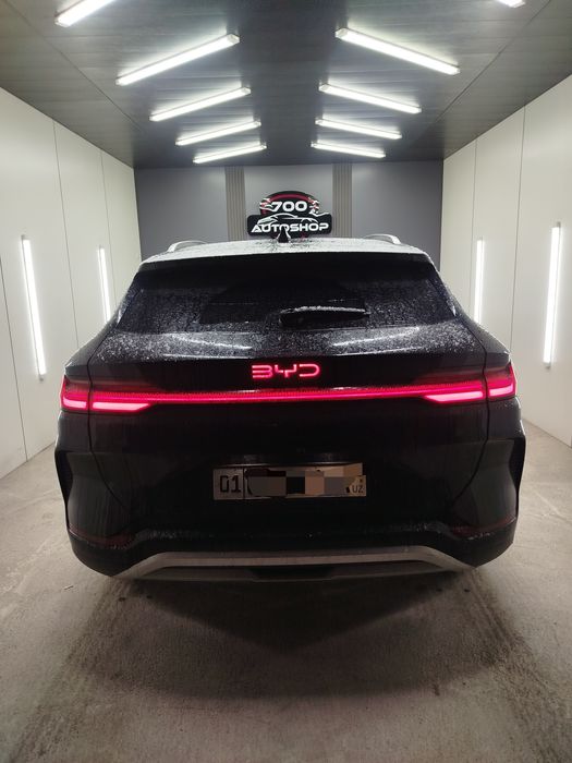 BYD chipiyon 2024 yil