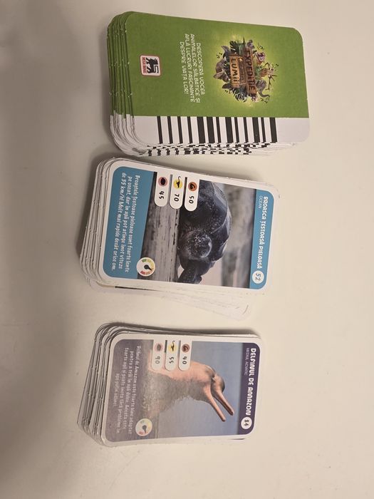 Cartonase Expeditie in jurul lumii