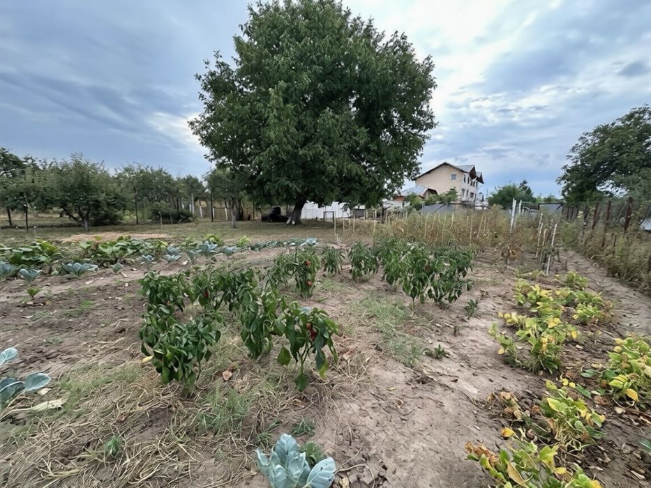 Casa de vanzare Comuna Lipanesti