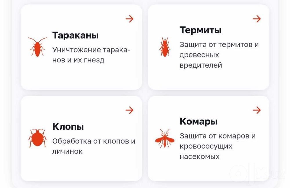 Профессиональная дезинфекция