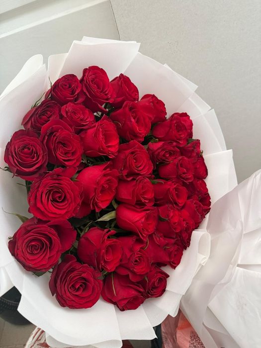 красные розы в хорошем состоянии