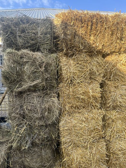 Продам Сено в тюках