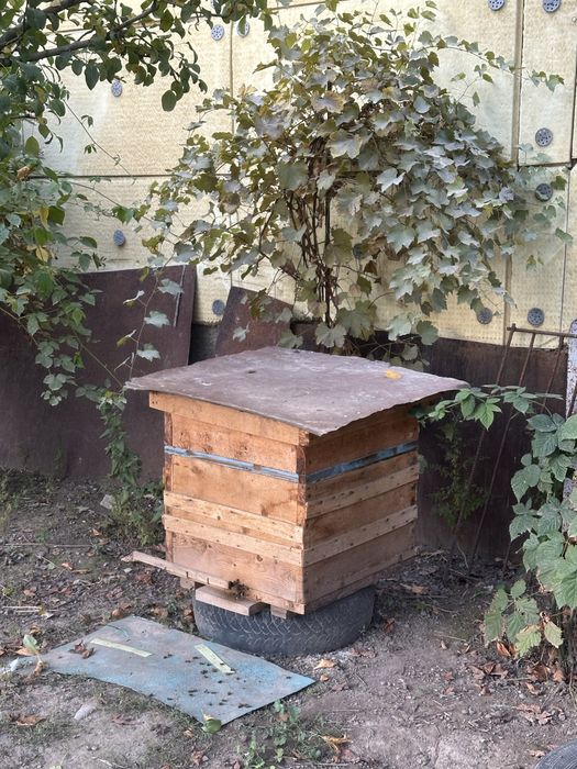 Продам ульи с пчелами