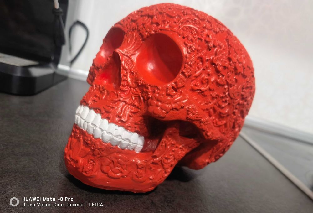 Гипсов череп - декоративен