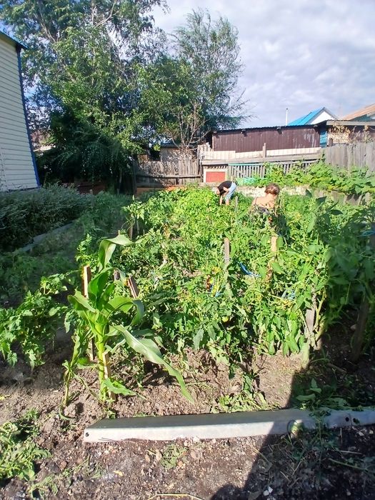 ПРОДАМ ДОМ микрорайон Шанхай.