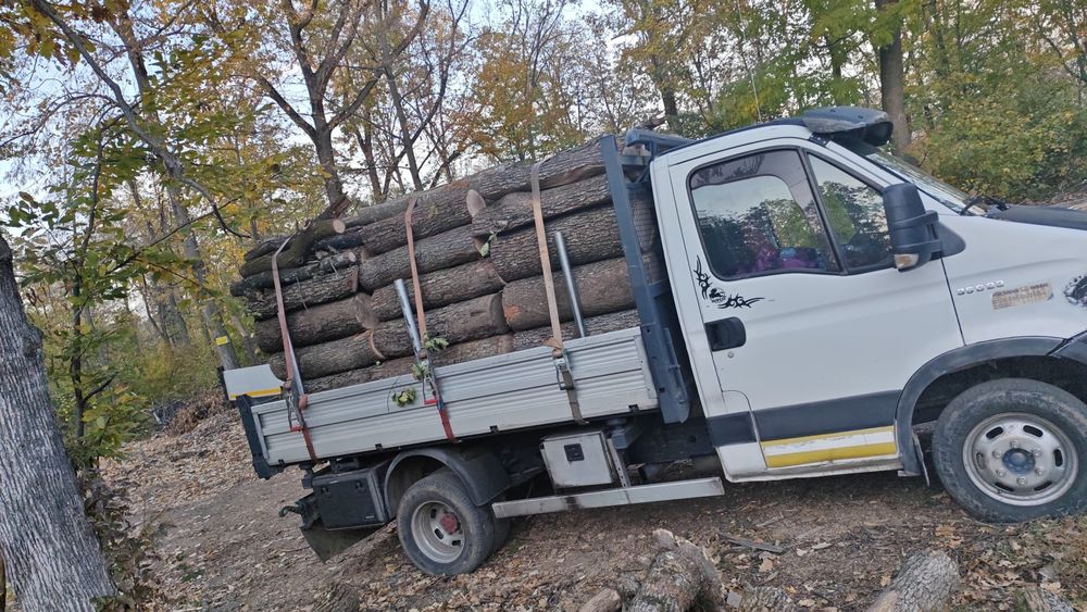 Lemne de foc fag stejar