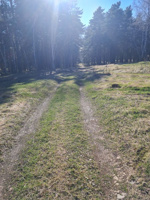 Сдам квартиру на природе