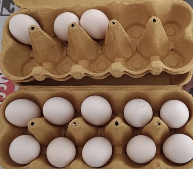 Vând ouă de găini Mii de flori