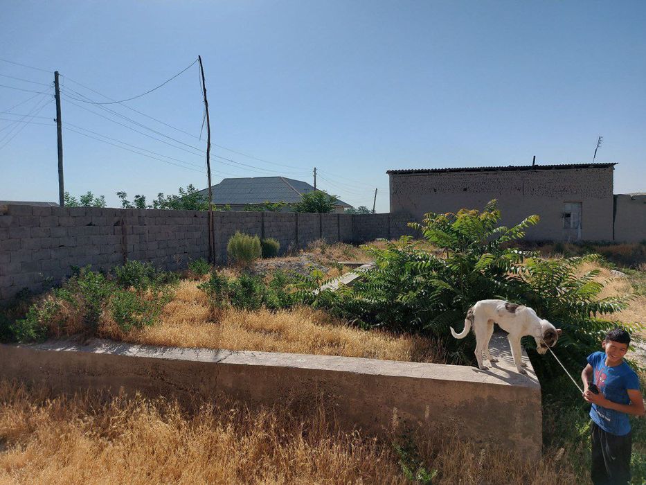 Yer sotiladi !!!14 sutig!!! Srochno!!!