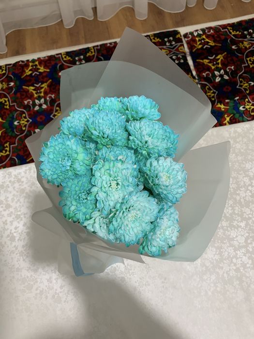 цветы новый ночью купил