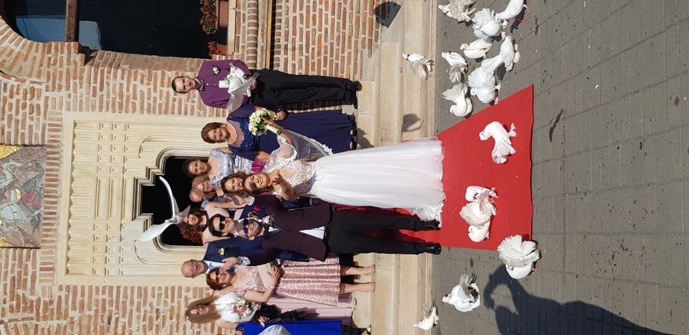 Porumbei albi pt evenimente speciale din viata dv