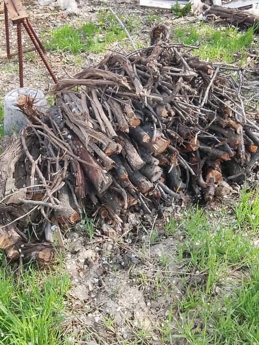 Otin sotiladi 1 moshina chiqadi