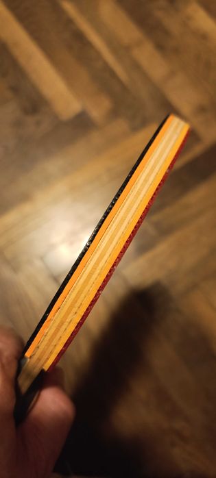 Paleta de tenis de masa Nittaku Septear