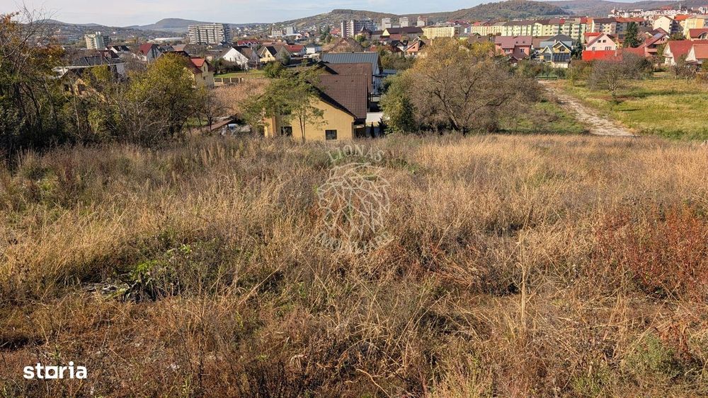 Teren intravilan cu utilitati 1321 mp-panorama-Zona Zavoaie