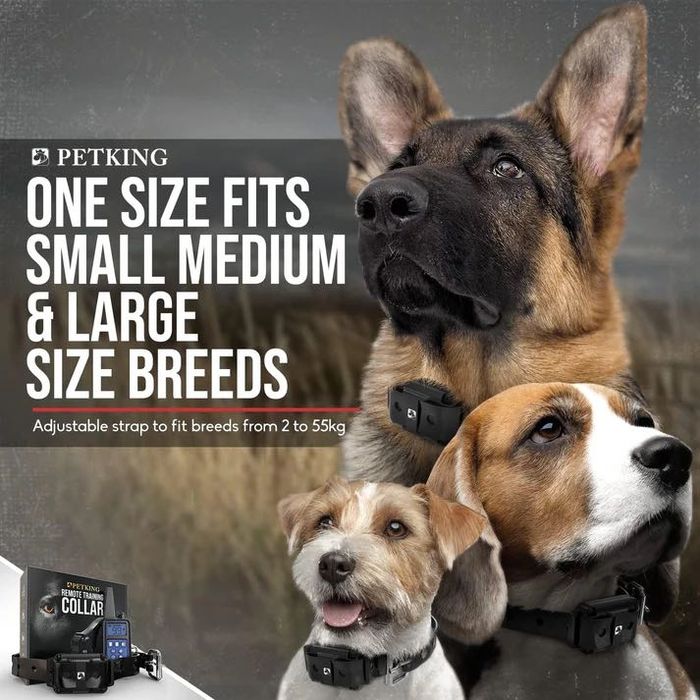 Zgarda dresaj caini cu telecomanda 300m,PETKING COLLAR,sigilat