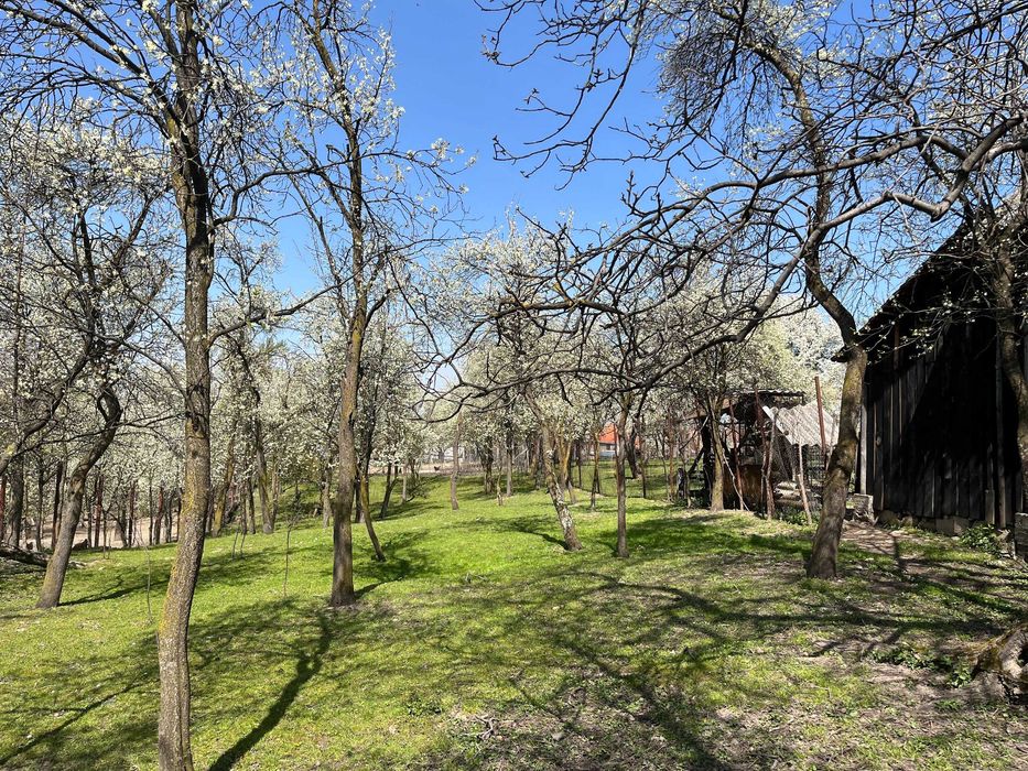 Teren Poplaca centru, utilități, împrejmuit, 989 mp
