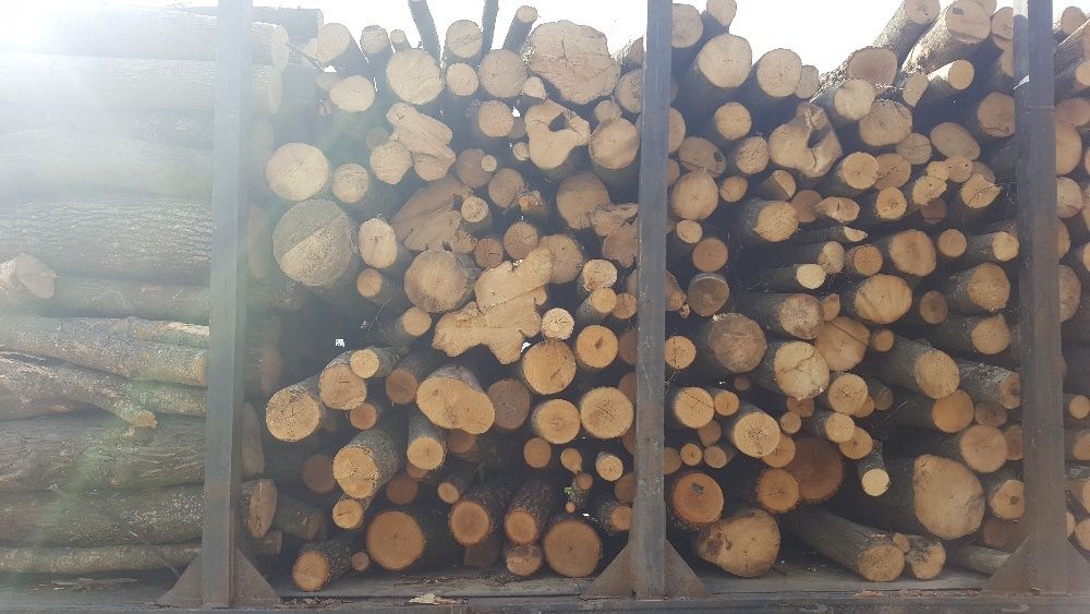 Vând lemn foc 500 LEI mc