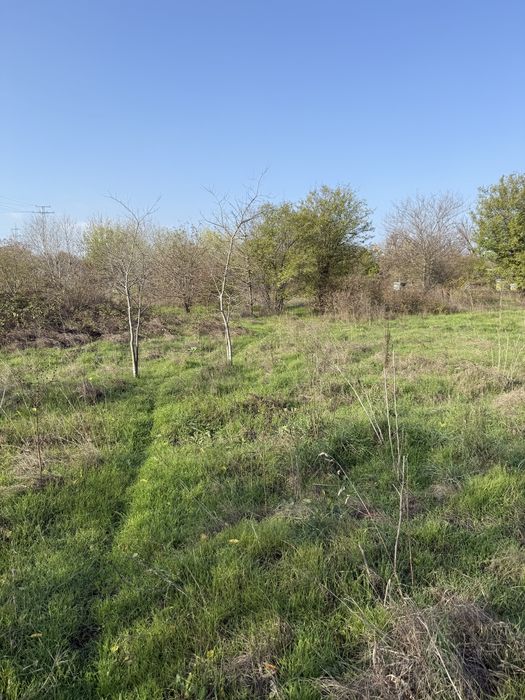 Продава се Парцел в с. Тополи, Област Варна - 9500 кв.м за 16 €/кв.м - Снимка #6