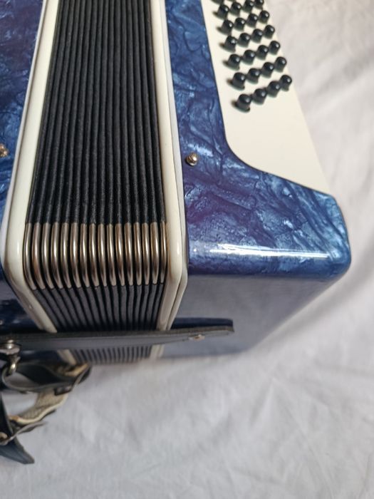 Acordeon Select Timis