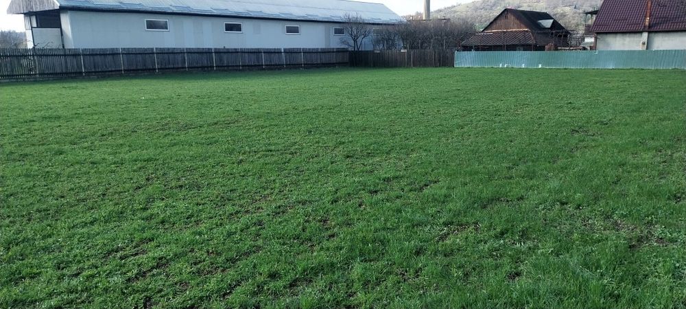 Afacere de inchiriat prelucrare marmura si granit