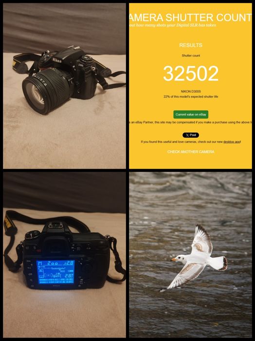 Nikon D300S + Sigma 17-70mm f/2.8-4.5