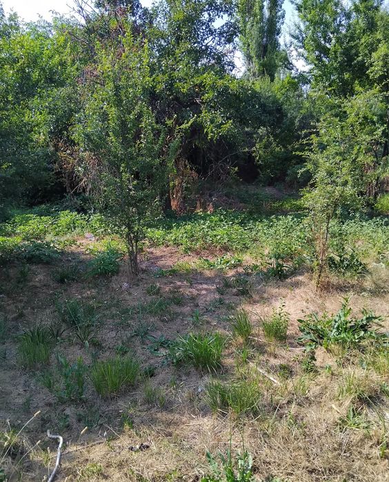 Продава се Къща в с. Мламолово, Област Кюстендил - 100 кв.м за 215 €/кв.м - Снимка #8