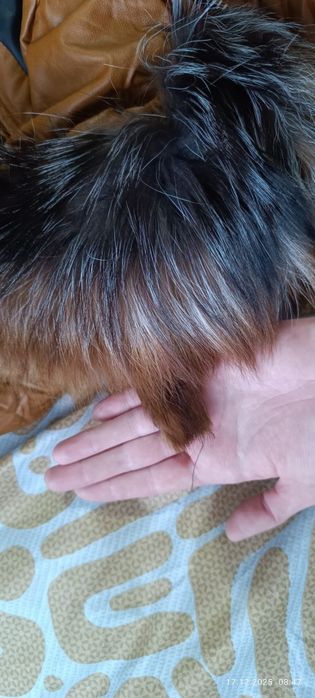 Продам зимнюю куртку