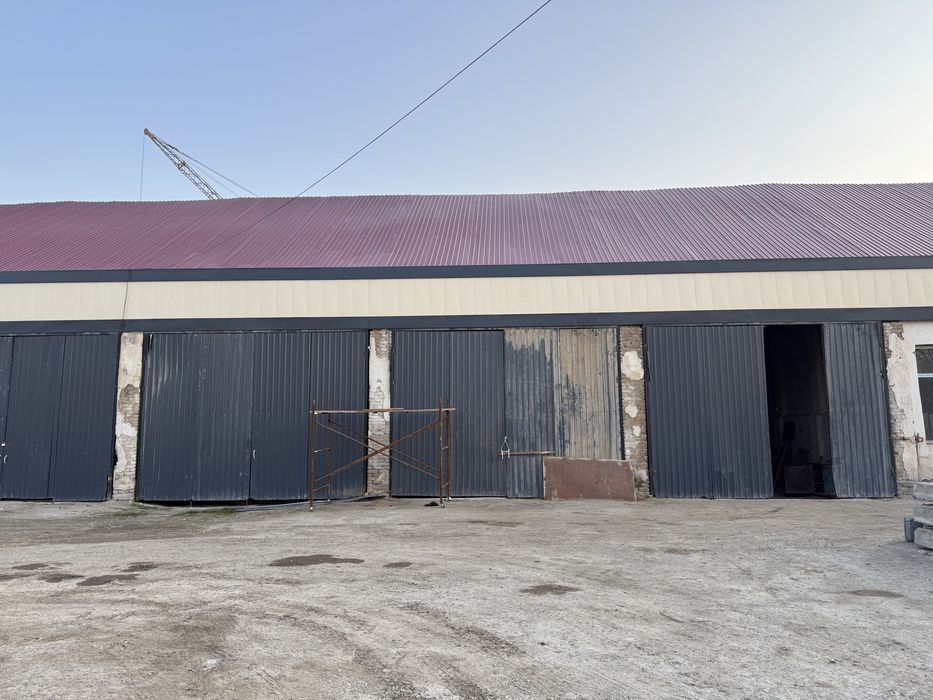 Бокслар ижарага берилади