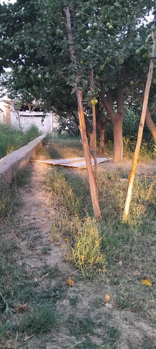 Tashmorydan otishiyz bn 500m  dan kein yol yuzida 8 sotix 4000$ sotigi