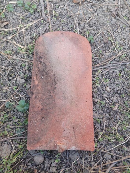 Țiglă solzi și coame