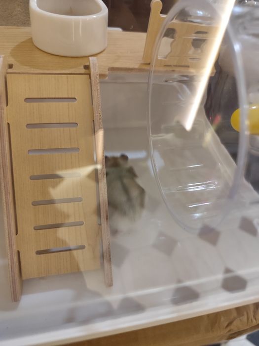 клетка для хомяка