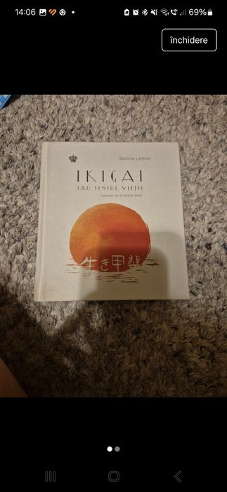 Ikigai – sau sensul vietii